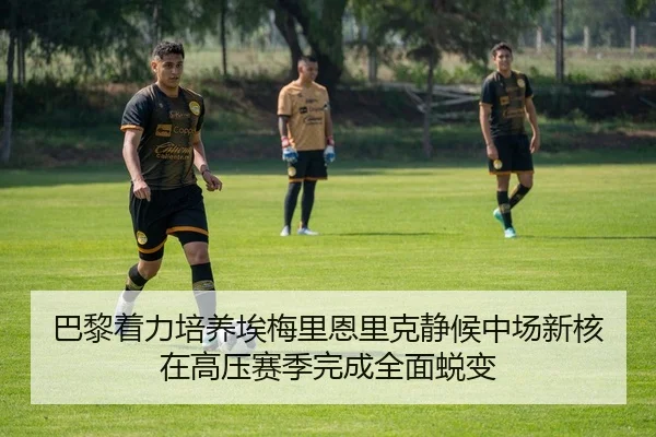 img_1784035720305_306_1_454.jpg